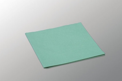 Picture of Vileda Evolon Microfibre Cloth- Green