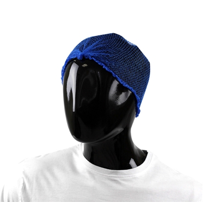 Picture of Blue Lightweight Hair Nets Case [10 x 100]