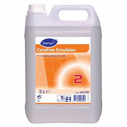 Picture of CAREFREE SATIN & CARE 5L