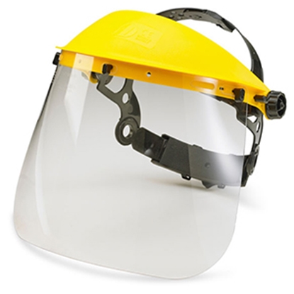 Picture of Face Shield Complete with Foam (Each)