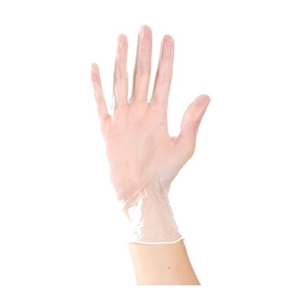 Picture of Aurelia Delight Lite PF Powder Free Vinyl Gloves (Large)