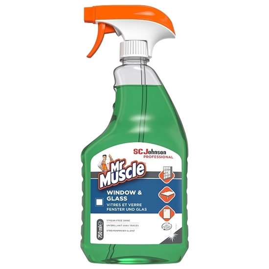 Picture of Mr Muscle Window & Glass Cleaner 750ml