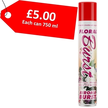 Picture of VECTAIR AIROMA® BURST AIR FRESHENER FLORAL 750ML CAN - CLEARANCE SALE