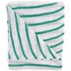 Picture of NW12740 C&C Dishcloth Green Coloured C4G/16 (10)