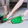 Picture of PROFESSIONAL GREEN SOFT DUSTPAN AND BRUSH