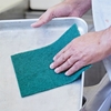 Picture of Green Eco Caterers Scourer (1 x 10)