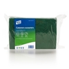 Picture of Green Eco Caterers Scourer (1 x 10)