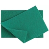 Picture of Green Eco Caterers Scourer (1 x 10)