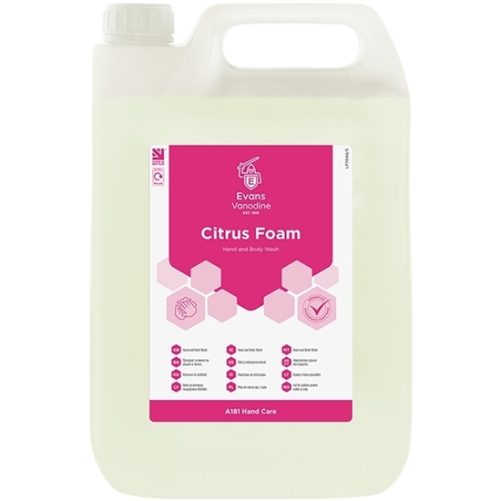 Picture of Evans Citrus Foam Soap  2 x 5Ltr