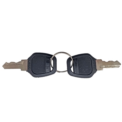Picture of KEYS FOR LOCKABLE BOX (2 KEYS)